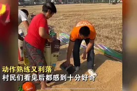 河南男子花500元雇跑腿帮收麦子，对方退回300元服务费：老人不容易图片