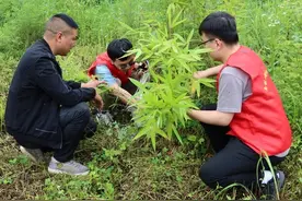 教育部点赞！主流媒体聚焦！南京这个团队，扎根大山十余年只为这件“大事”！图片
