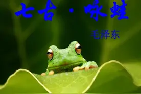 毛泽东《咏蛙》，小学专用PPT图片