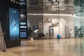 价格高昂，大厂进入，“出道即巅峰”的网红健身镜到底怎么样图片