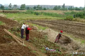 农民自行开垦的荒山荒地到底归谁所有？图片
