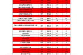 2021小升初民办摇号第二天数据分析图片