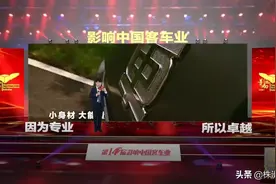 中车电动斩获两项行业大奖图片