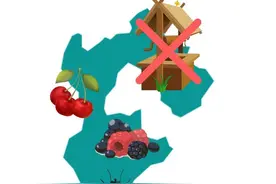 原来你们的端午是这样：河北忌讳多，四川很重口，浙江怕了怕了图片