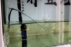 为什么水位高的热弯鱼缸容易破裂？这次终于说明白了，值得收藏图片