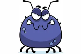 床单被套多久换洗一次，才最科学？图片