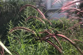 因为月子中心的事情，老公跟我冷战了......图片