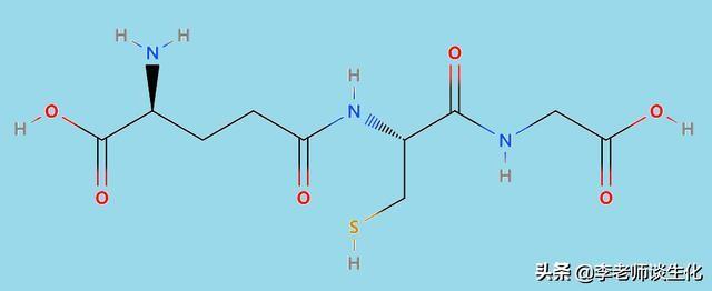 肽键的性质和肽的功能