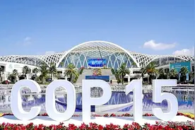 “来到COP15会场，才知道地球妈妈有这么多孩子”图片