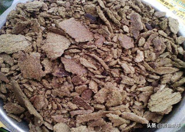 草鱼最爱吃的饵料不在渔具店，而在自己家！这三样东西混合就行