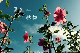 挠、挠、挠，夏末秋初起湿疹，是秋燥，还是余暑？图片