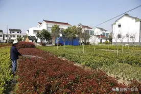 农村宅基地一户多少平？超出面积后怎么办？最新宅基地面积规定图片