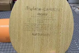 乒坛热门底板——蝴蝶维斯卡利亚（Viscaria）图片