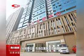 投资超100亿，安谋中国落户天府新区视频封面