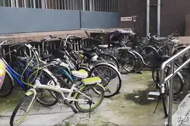 发现“僵尸”自行车怎么办？图片