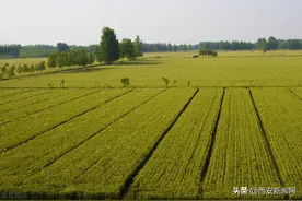 我市印发《关于进一步规范集体土地征收工作的通知》图片