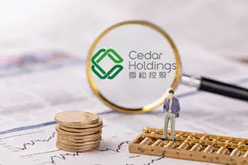 揭秘丨3点揭开雪松事件迷雾，企业账务一定巧避这两坑图片