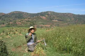 #宝鸡头条#估计是中国最穷的农民摄影家--陇县谢万清图片