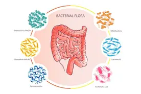 「儿童节特辑」孩子的早期生活环境如何影响肠道菌群和免疫健康图片