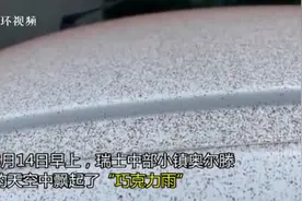 瑞士小镇下起“巧克力雨”，汽车上留下一层可可粉，网友：张开嘴巴了图片