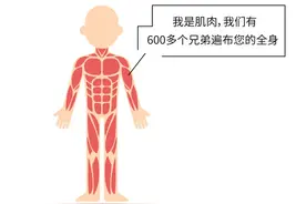 肩/颈/腰/腿莫名酸疼总是治不好？请重视肌肉！图片