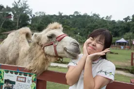 肇庆人少景美的“奈良”！与小动物来一个亲密接触，溜娃很合适图片
