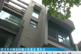 “我在楼下吃饭，他在上面拉屎！”武汉一叠墅隔出12间房，楼下业主怒了图片