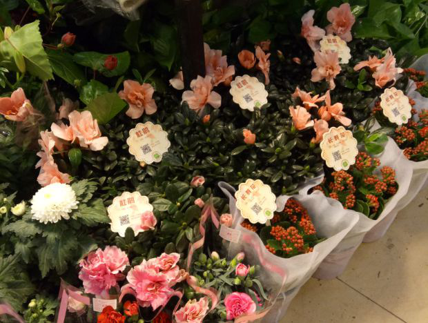 ��ʹӴ�������û���ʼ�����䴴��Ӫ����������