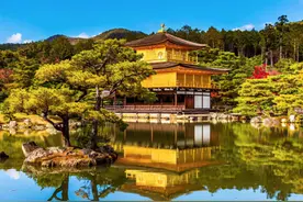 世上真有“黄金屋”！处处藏美好图片