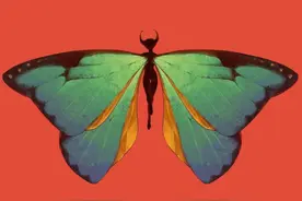 下半年里，以下5个星座，处于人生“上升重要阶段”图片