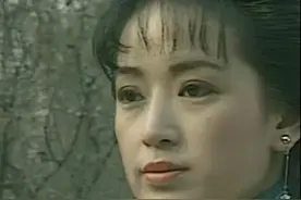 1991年台湾经典武侠剧孟飞版《雪山飞狐》主要演员大盘点图片