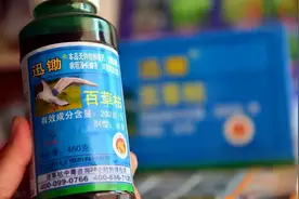 河北现喝“百草枯”事件，无特效救命药的百草枯，危害有多大？图片