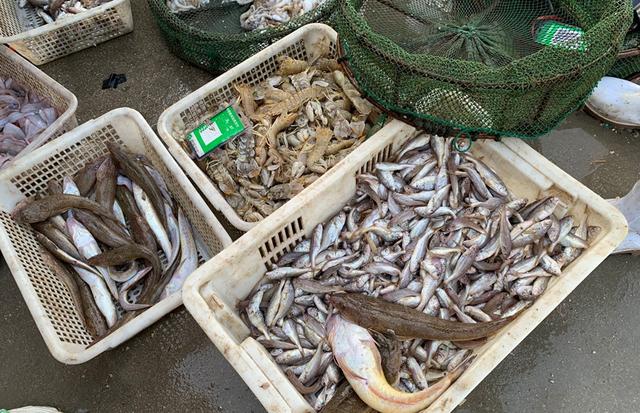 秋天，不管有钱没钱，这6种海鲜要多吃，营养高还便宜，别不懂吃