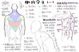 连交作业都内卷！大佬都在激情输出的人体结构，还有什么理由不练图片