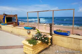 埃及旅行趣事二三事——一份独属于自己的旅行故事图片