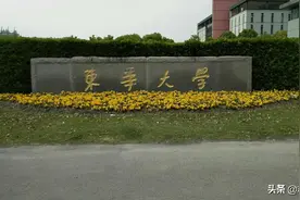 2020东华大学报考指南（附详细专业分数线）图片