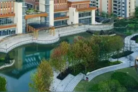 梧桐人家获央视报道图片