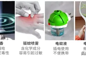 日本金鸟驱蚊手环，这个夏天，蚊虫拜拜图片
