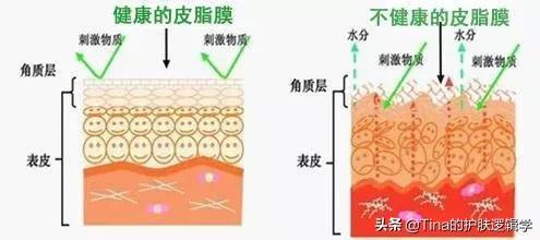 面霜涂很厚还觉得皮肤干？这9款护肤油可以帮到你＃品牌好物＃