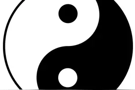 阴阳者，天地之道也。万物之纲纪，生杀之本始，神明之府也图片