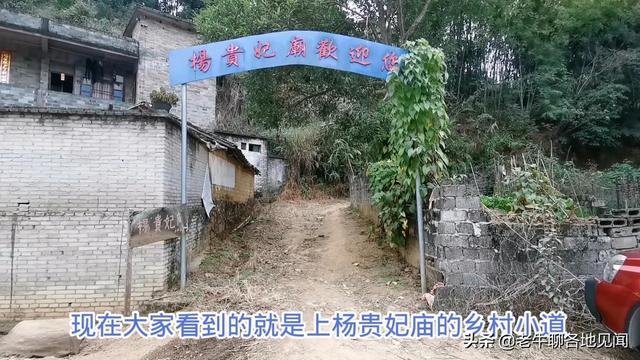杨贵妃是不是广西容县人？山西陕西四川河南表示不服， 去探查