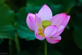 让女人深深痴恋你的方式：少纠缠，多“撩心”图片