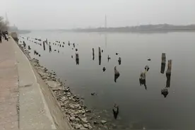 塘沽老码头图片