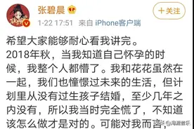 华晨宇张碧晨承认生子，网友：有个小天后诞生了图片