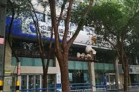 北方地区暴风雨造成园林树木倒伏原因 | 技术图片