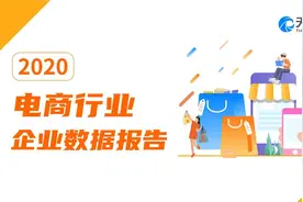 天眼查大数据：电商行业企业数据报告（2020）图片