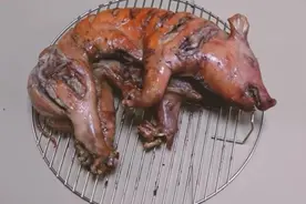 精心养育宠物猪100天后，把它杀死、烤熟、吃掉...图片