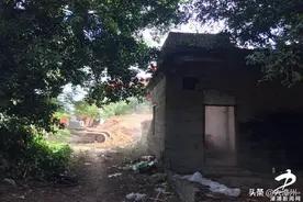 漳浦：拆除陶瓷厂危房图片