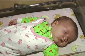 婴儿被遗弃在寒冷的雪地中，救他的却是一只猫图片