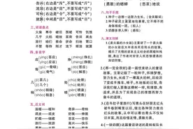 三年级语文上册第3单元知识点+单元卷，需要的家长下载打印吧图片